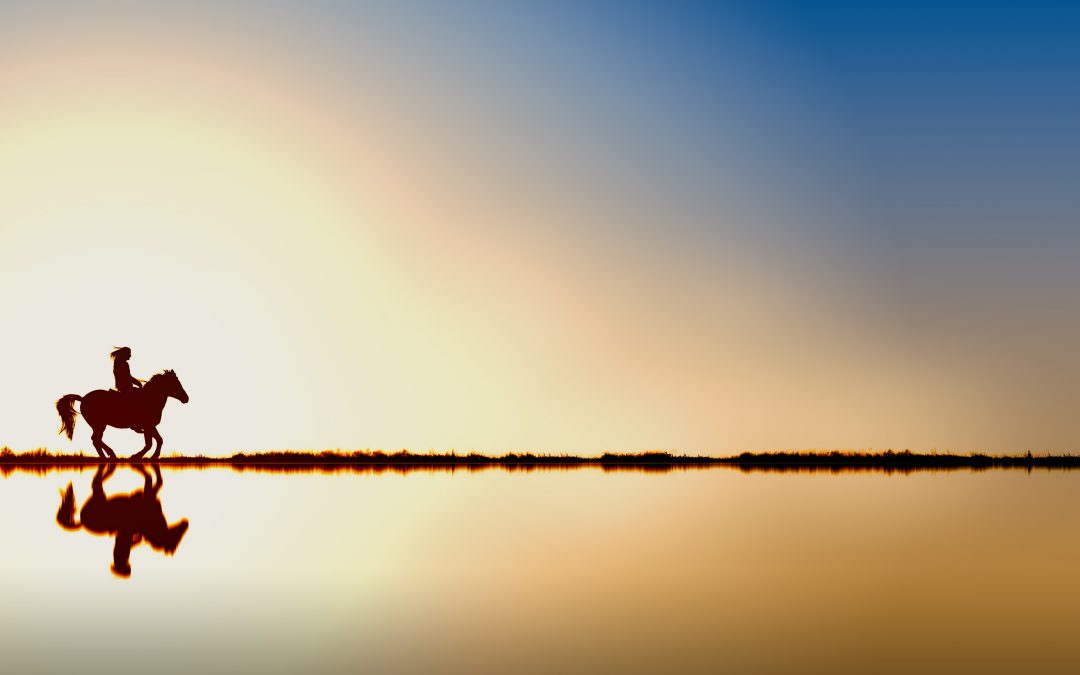 Das Leben ist ein Ponyhof