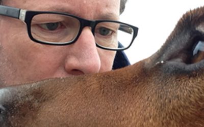 Spieglein , Spieglein an(gst) der Wand – Stress mich nicht